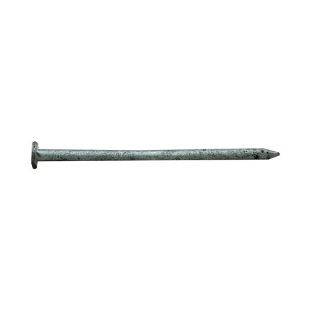 Pro-Fit Common Nail, 3-1/4 in L, 12D, Hot Dipped Galvanized Finish 0054188